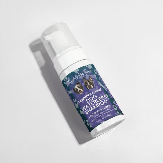 Lavender Haze - Dog Waterless Shampoo (Foaming)