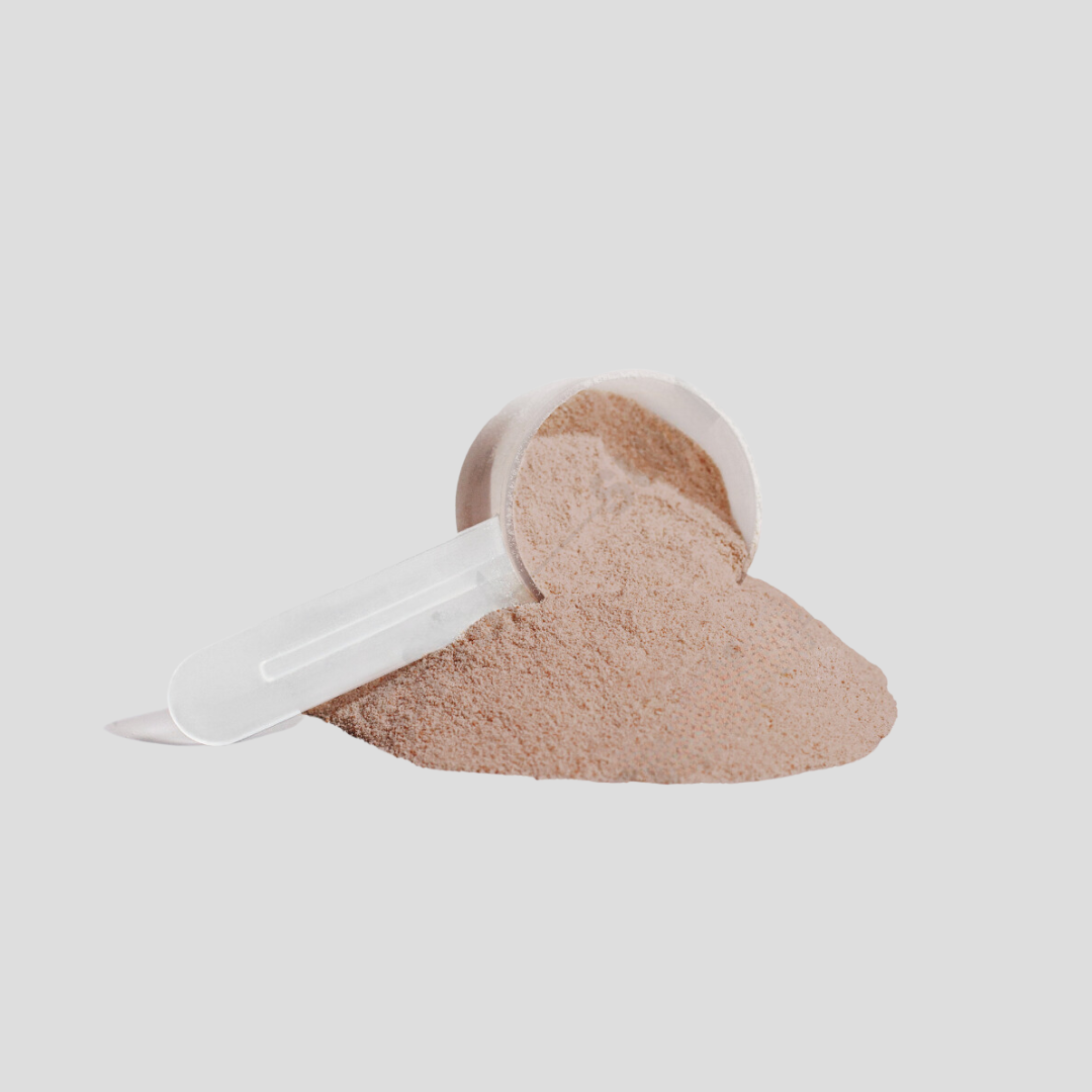 Vegan Pea Protein (Chocolate)